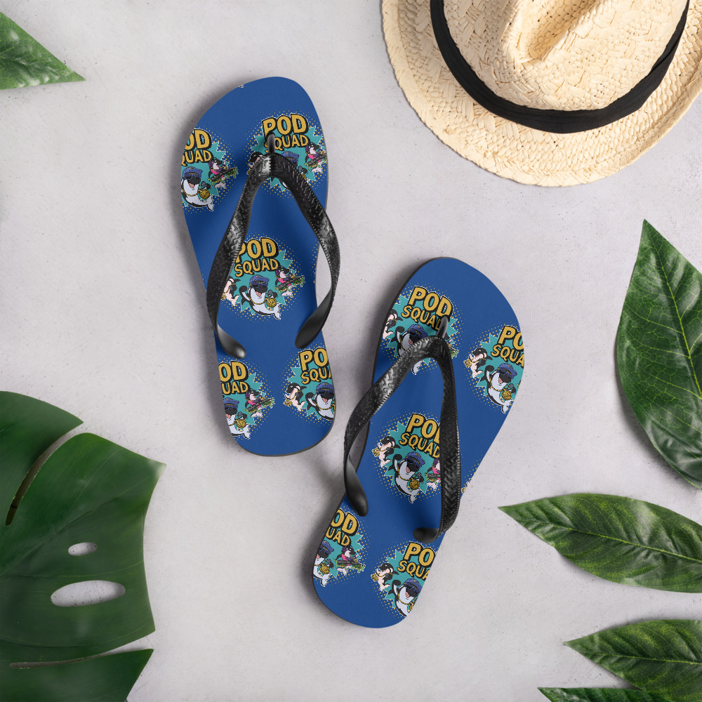 Flip-Flops - Image 2